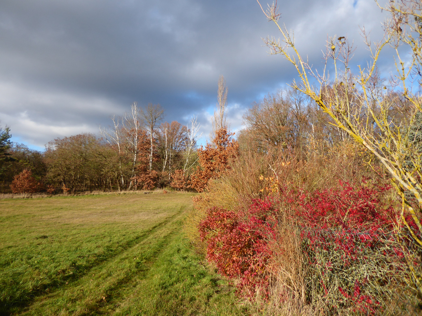 Spaziergang am Dorfrand