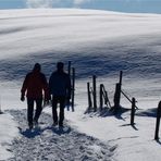 Spaziergang am Dreikönigstag