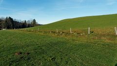 Spaziergang am Dreikönigstag im Leitzachgebiet