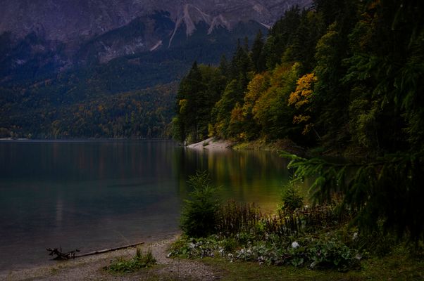 ....Spaziergang am Eibsee...