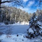 ..... Spaziergang am Eibsee....vol. 3