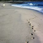 Spaziergang am einsamen Strand