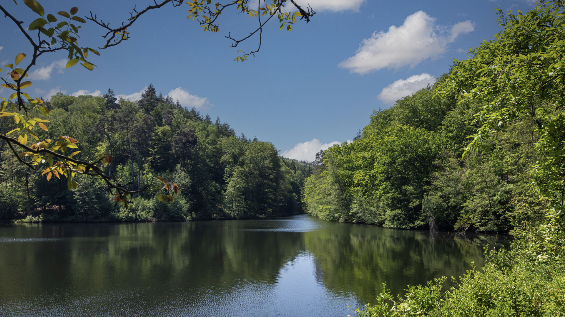 SPAZIERGANG AM EISWOOG 