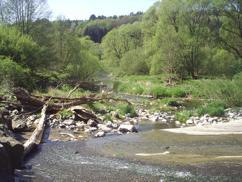 Spaziergang am Fluss