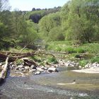 Spaziergang am Fluss