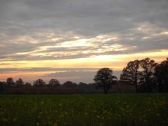 Spaziergang am frühen Abend