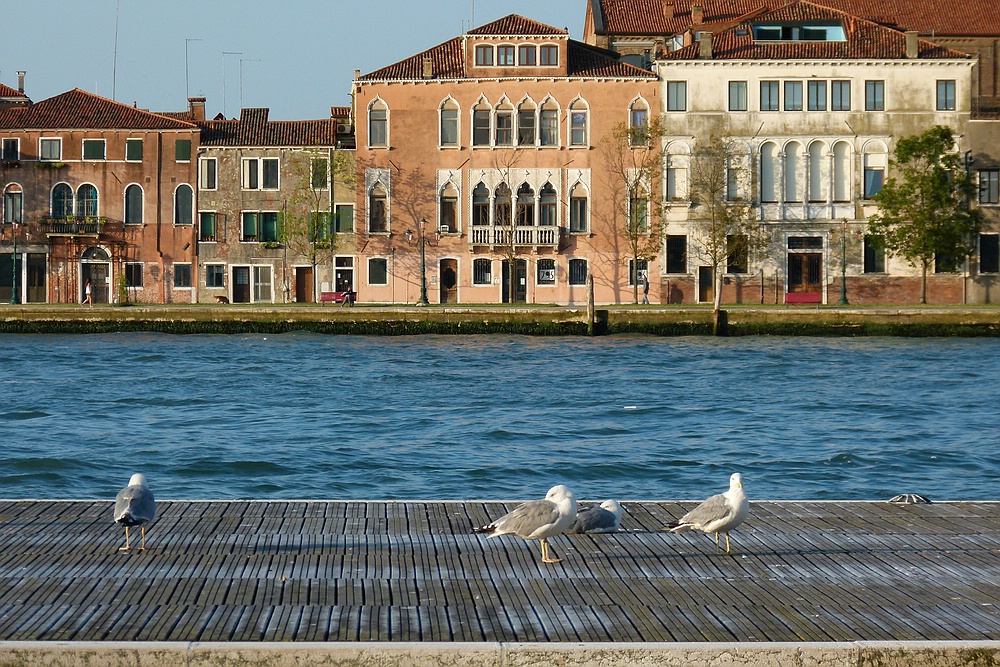 ...Spaziergang am Giudecca Canal...