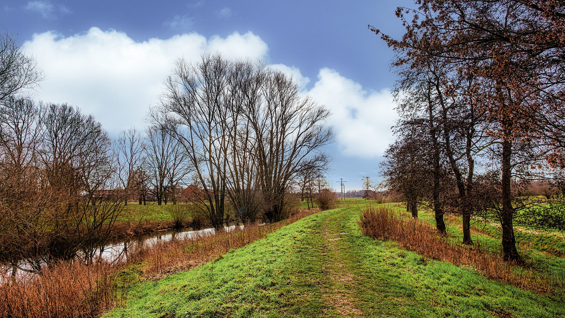 Spaziergang am Glennedeich