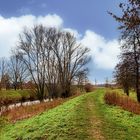 Spaziergang am Glennedeich