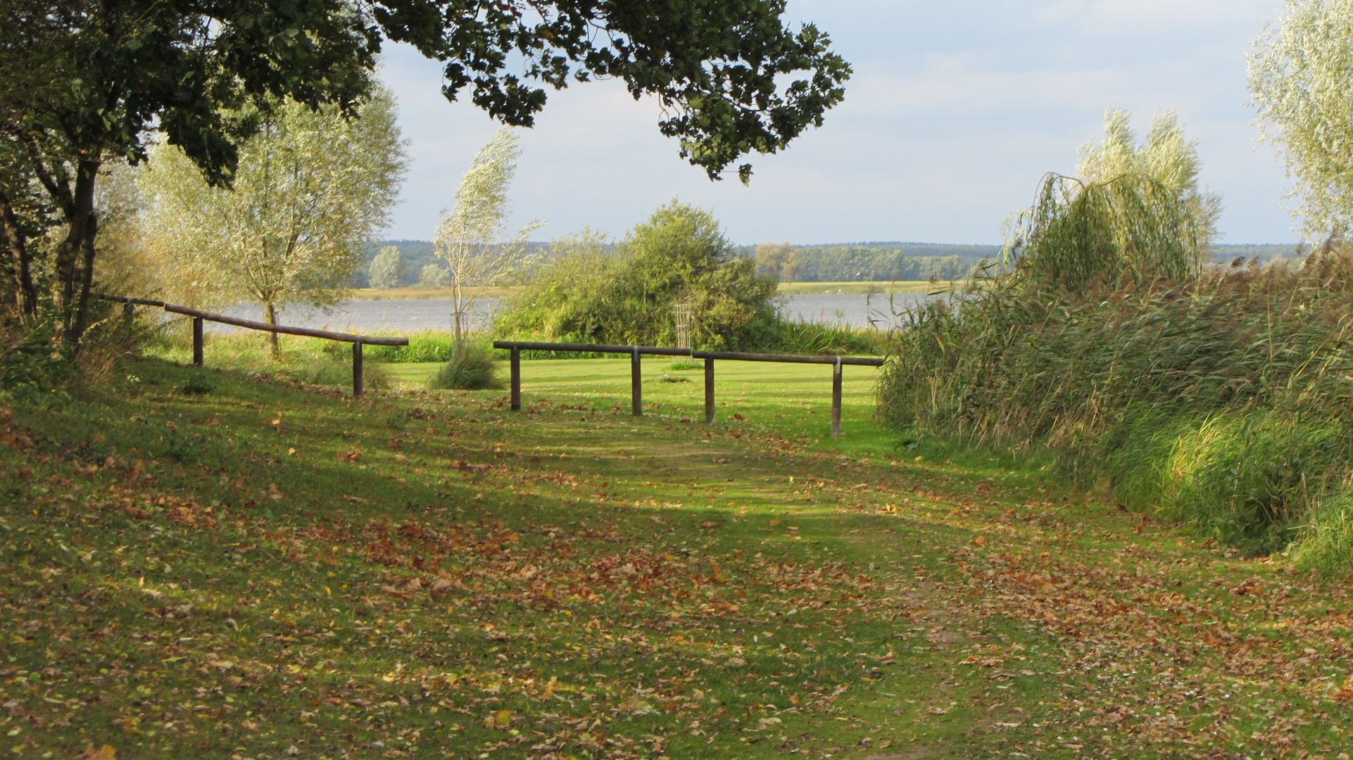 Spaziergang am Hohennauener See bei Semlin