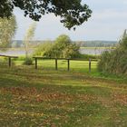 Spaziergang am Hohennauener See bei Semlin