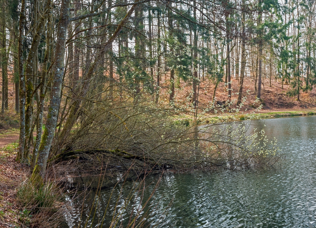 Spaziergang am HOLZMAAR