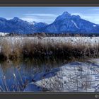 Spaziergang am Hopfensee