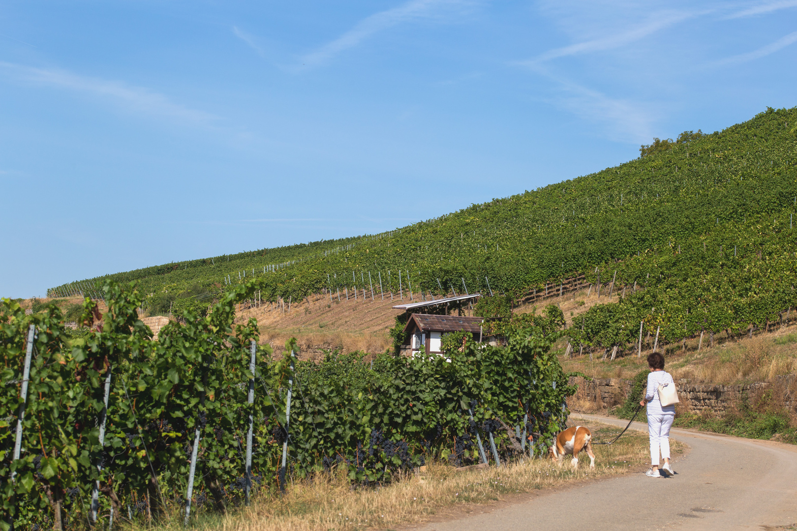 Spaziergang am Horn