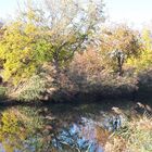 Spaziergang am Hüninger Kanal in Kembs.