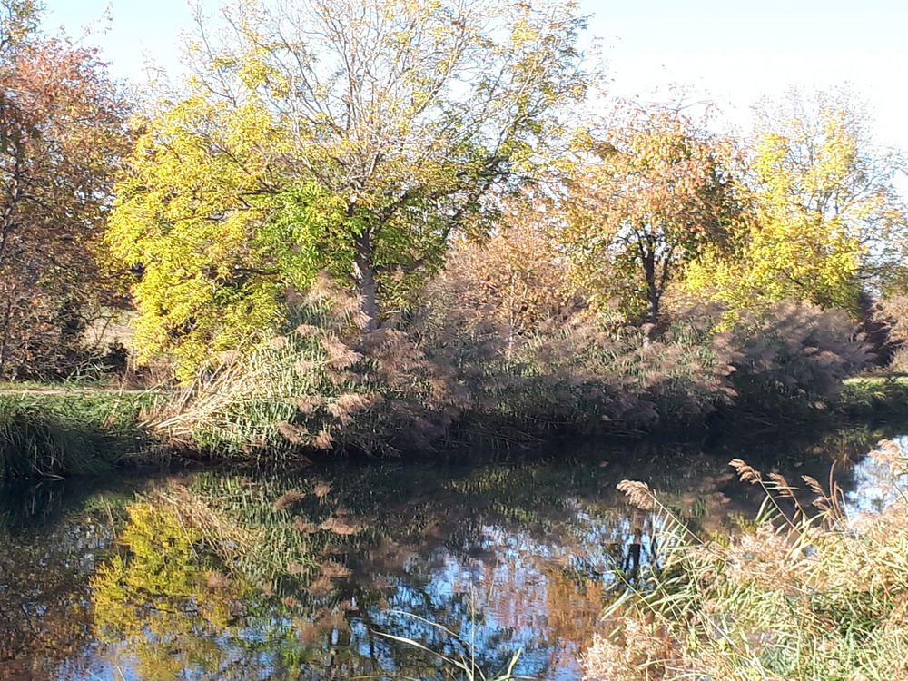 Spaziergang am Hüninger Kanal in Kembs.