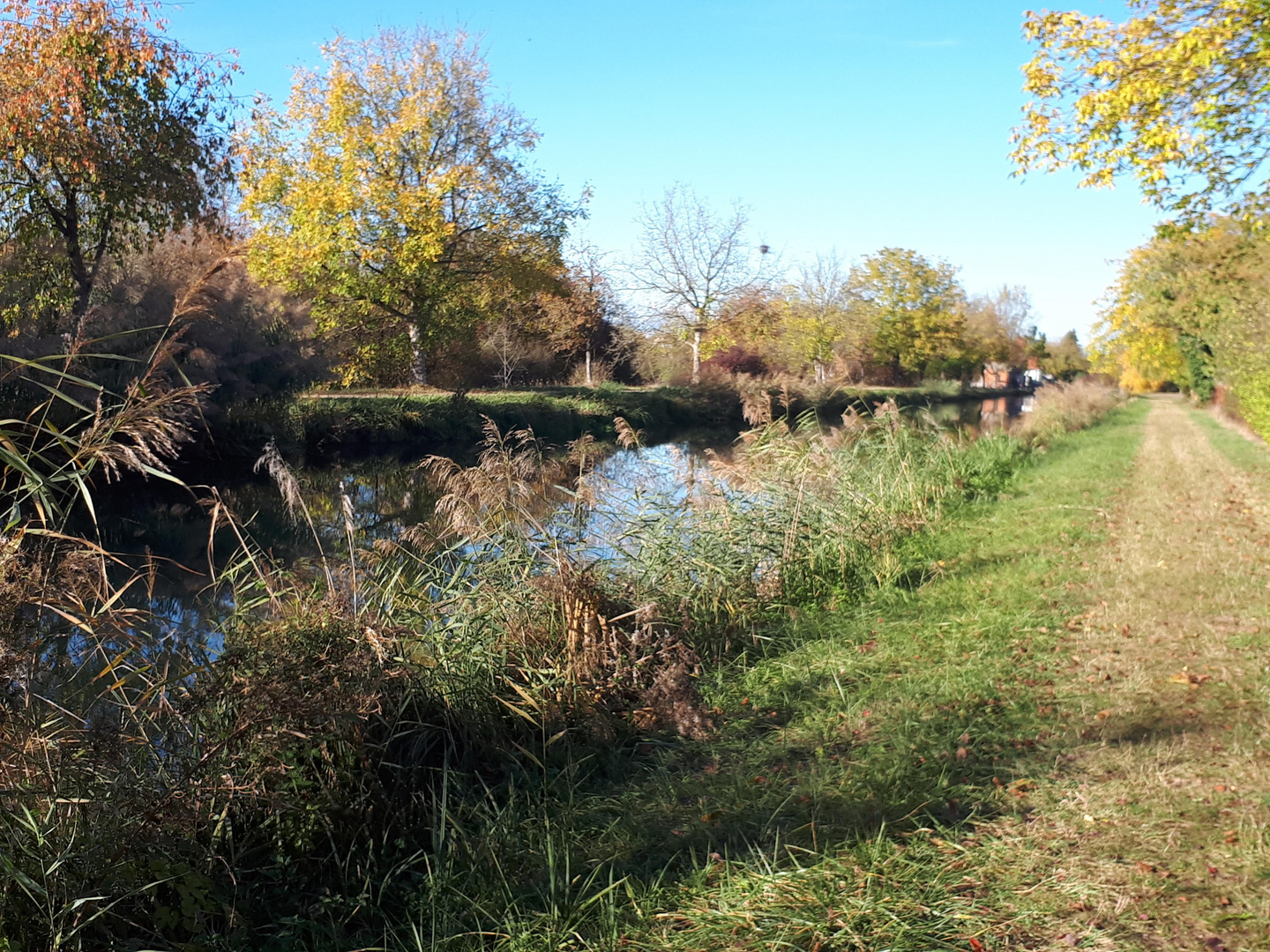 Spaziergang am Hüninger Kanal in Kembs.