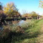 Spaziergang am Hüninger Kanal in Kembs.