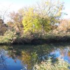 Spaziergang am Hüninger Kanal in Kembs.