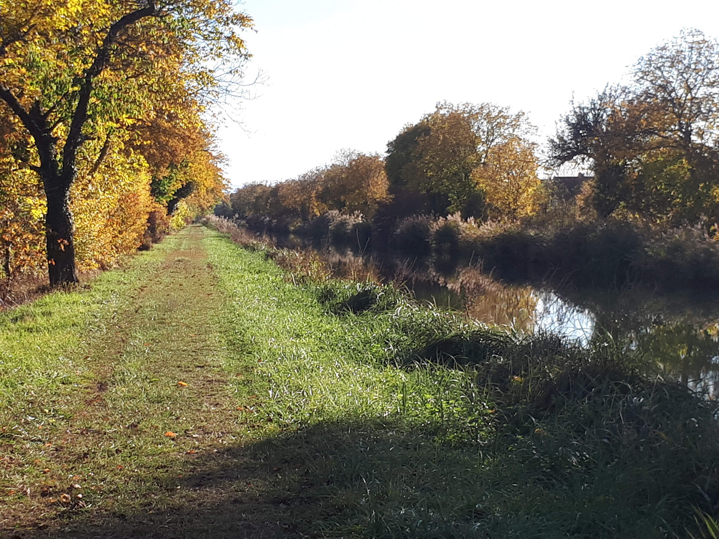 Spaziergang am Hüninger Kanal in Kembs.