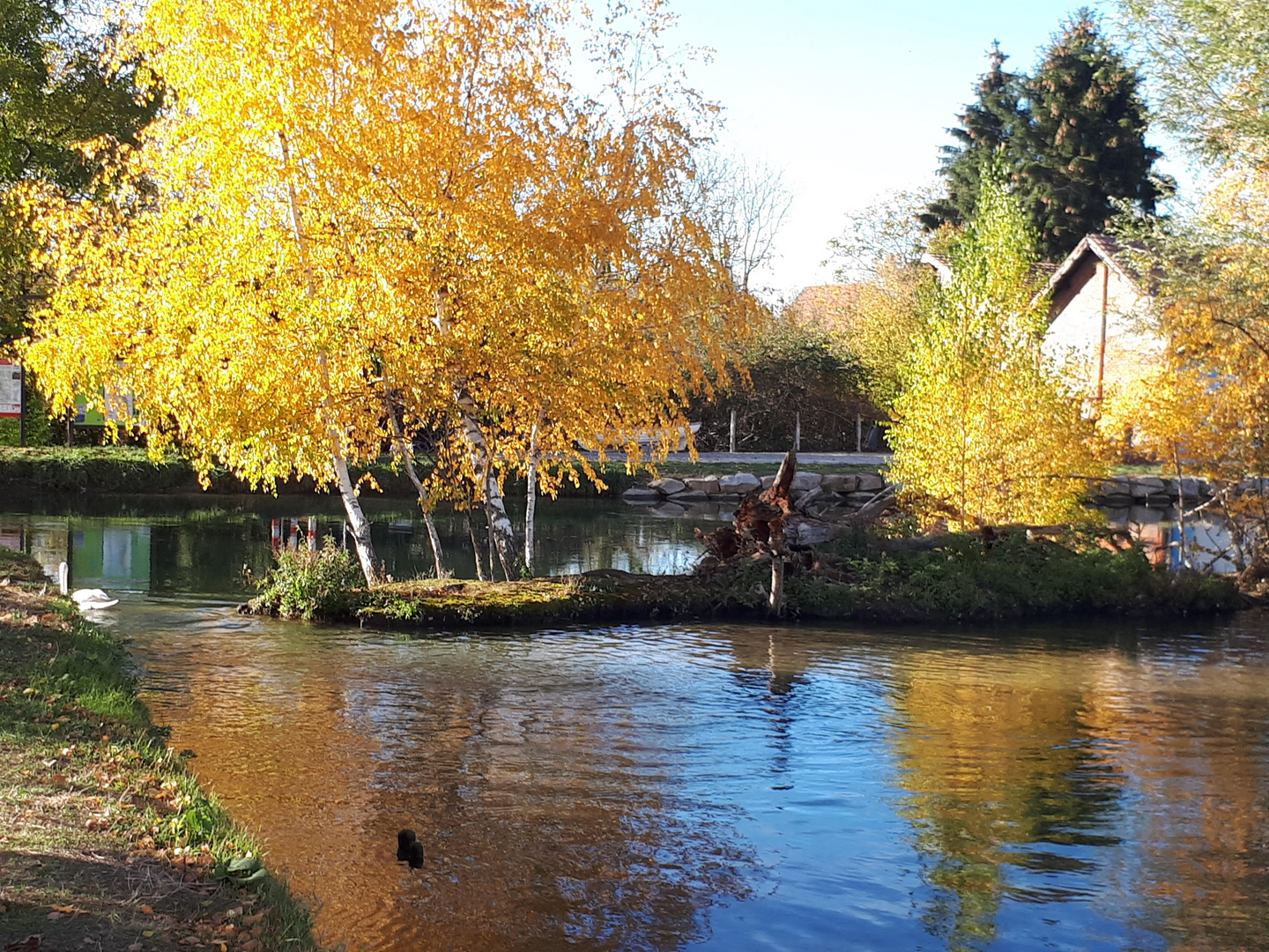 Spaziergang am Hüninger Kanal in Kembs.