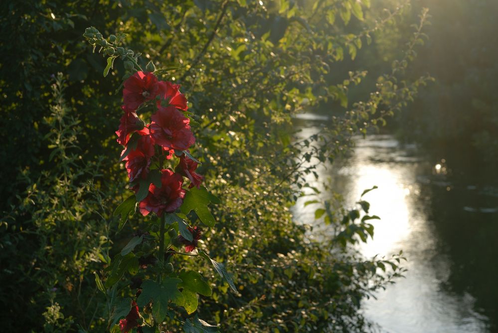 Spaziergang am Kanal