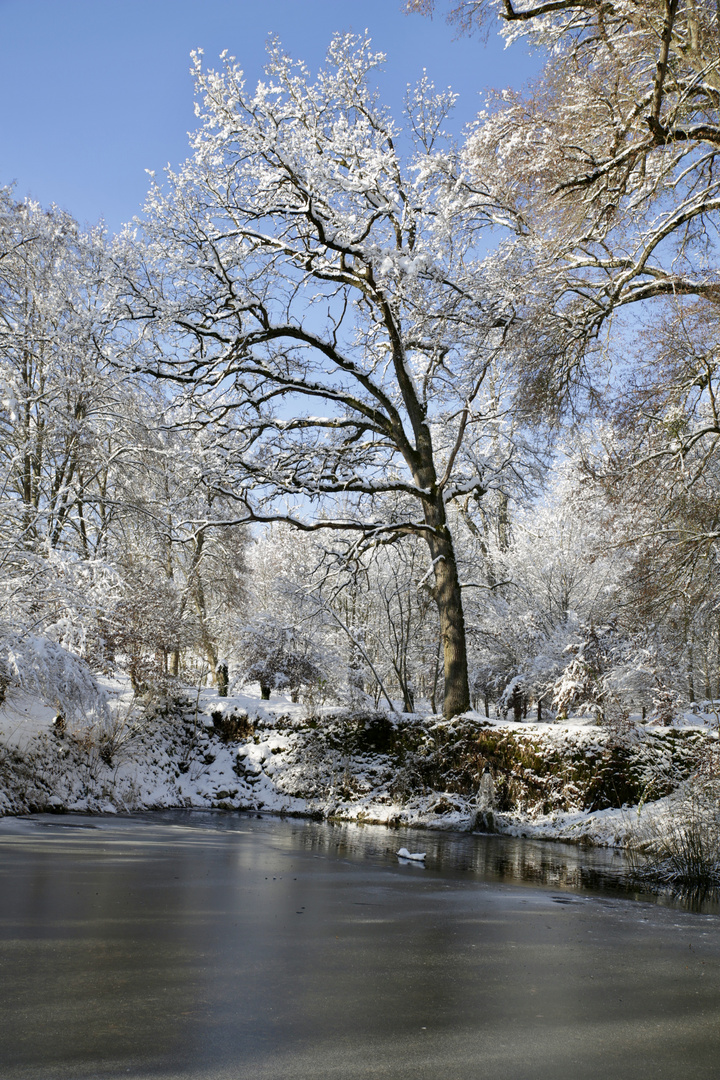 Spaziergang am Karlsbrunnen 7