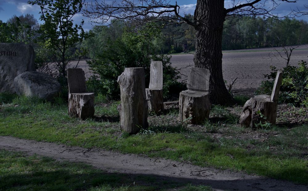 Spaziergang  am  Königsstuhl