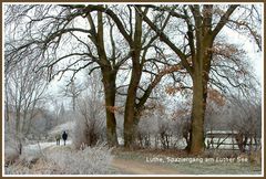 Spaziergang am Luther See