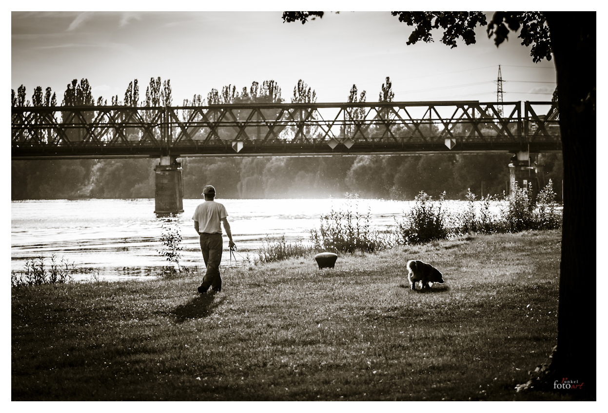 Spaziergang am Mainufer