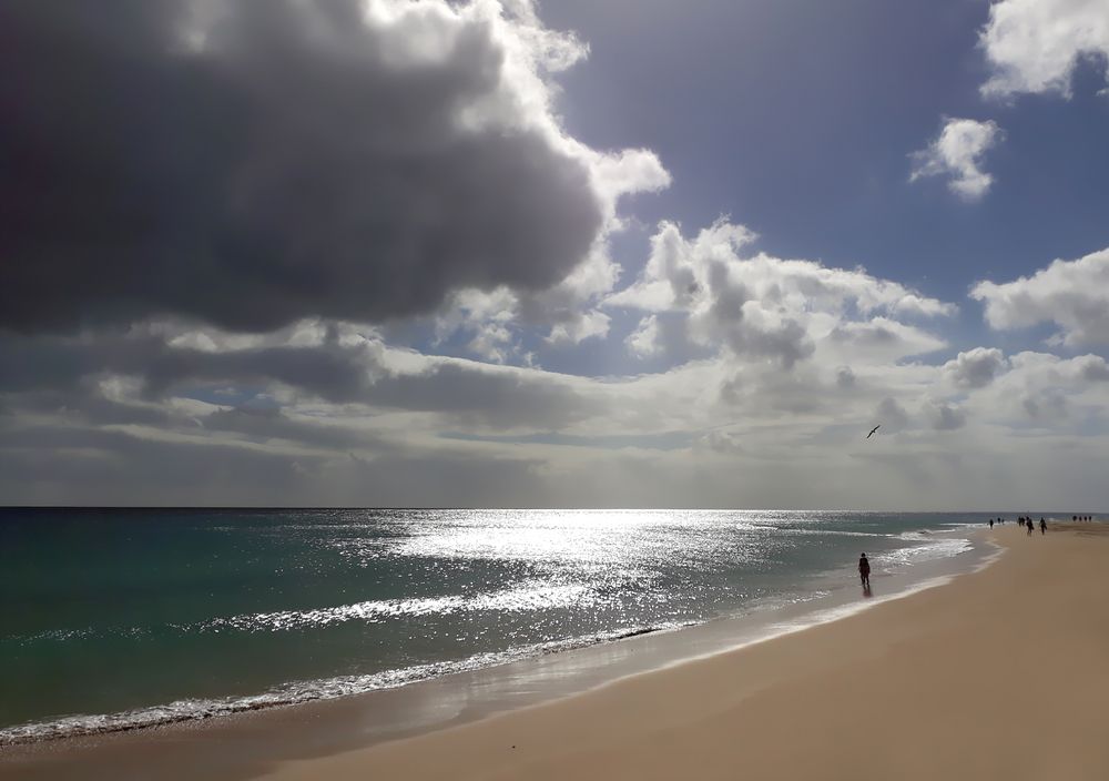 Spaziergang am Meer