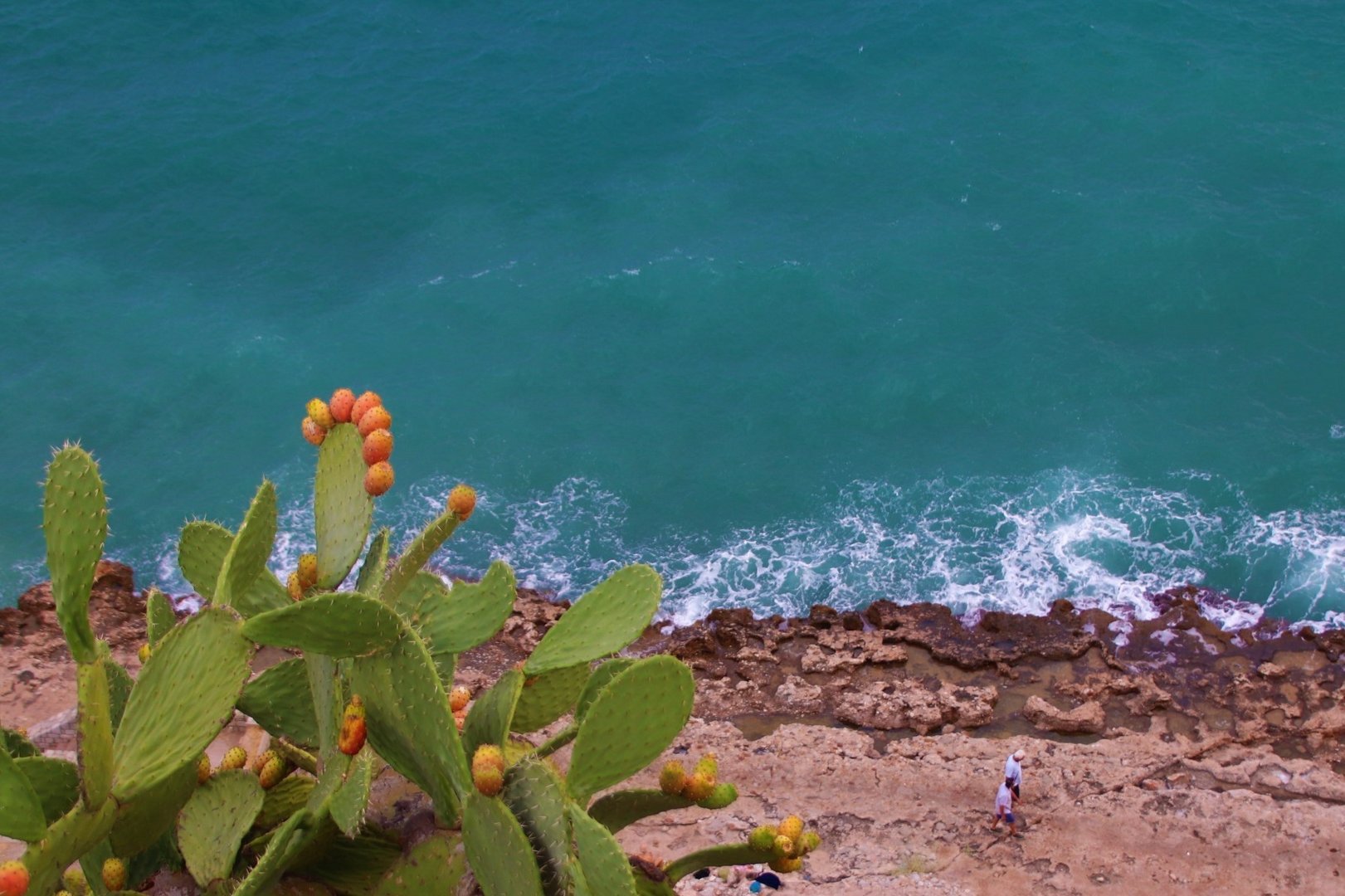 Spaziergang am Meer