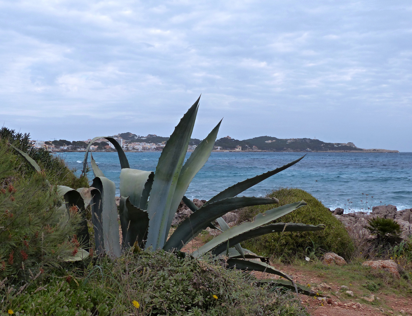 Spaziergang am Meer