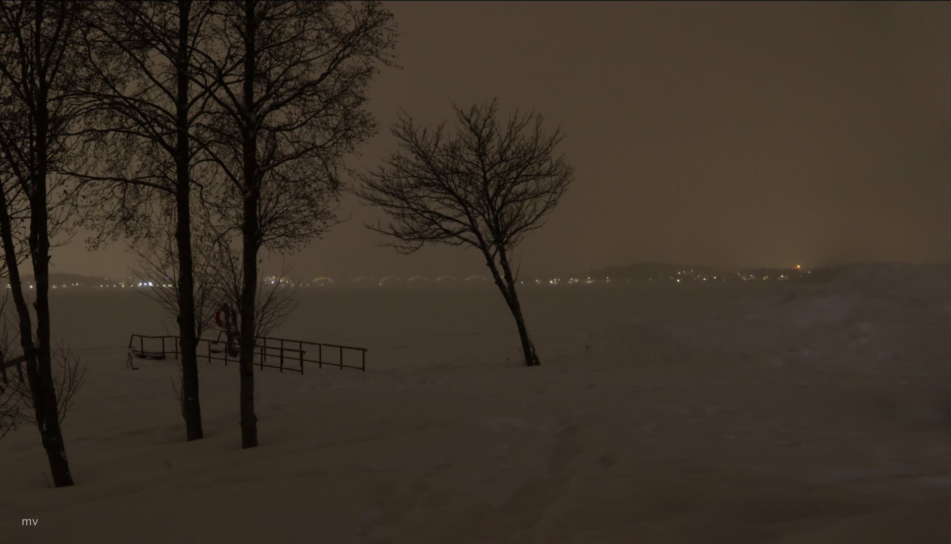 Spaziergang am Meer