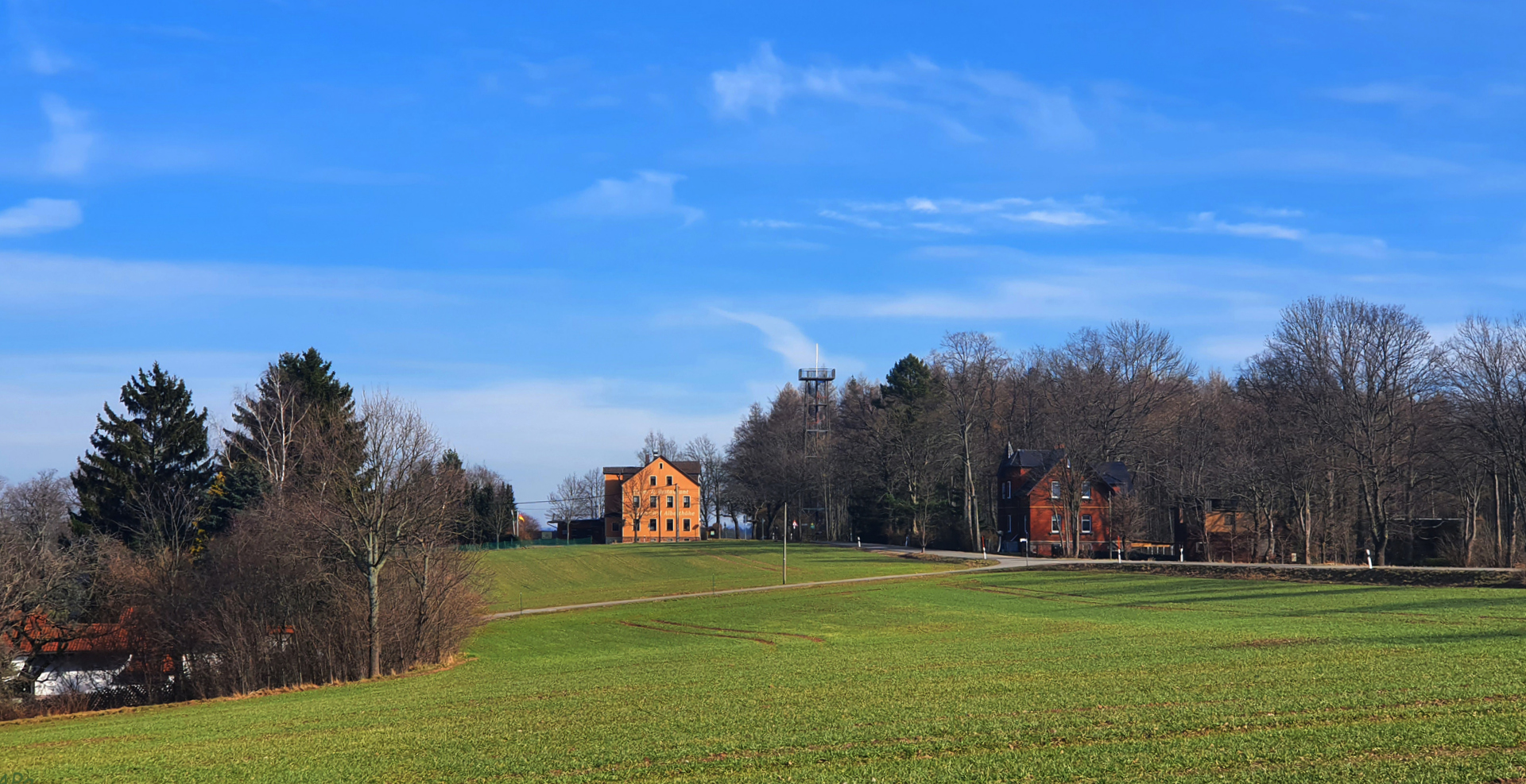 Spaziergang am Mittag (3)