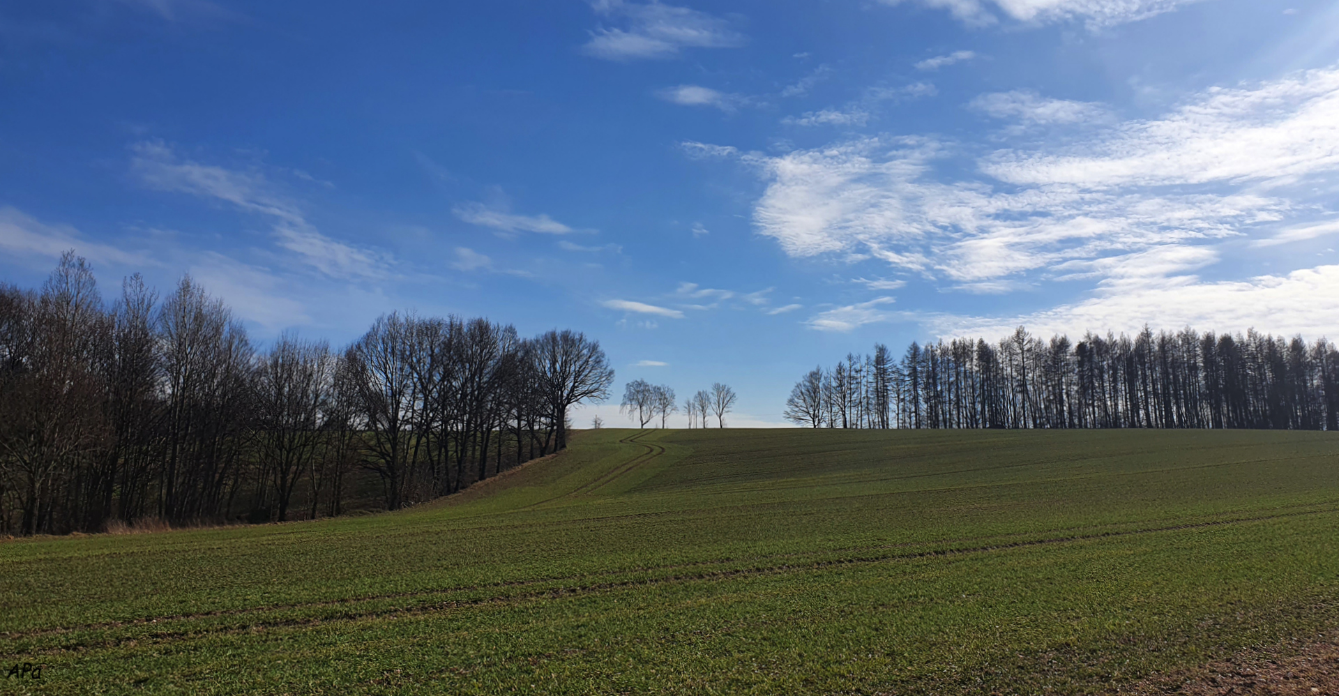 Spaziergang am Mittag