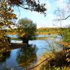 Spaziergang am Möhnesee