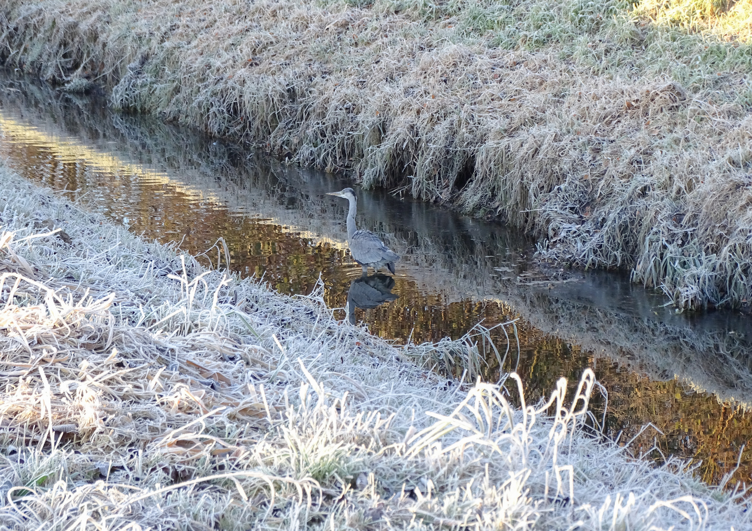 Spaziergang am Morgen 