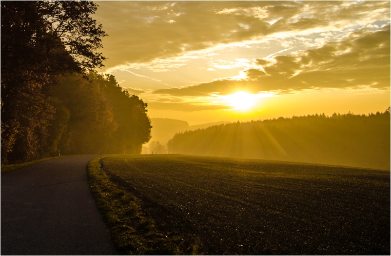 ...spaziergang am Morgen.