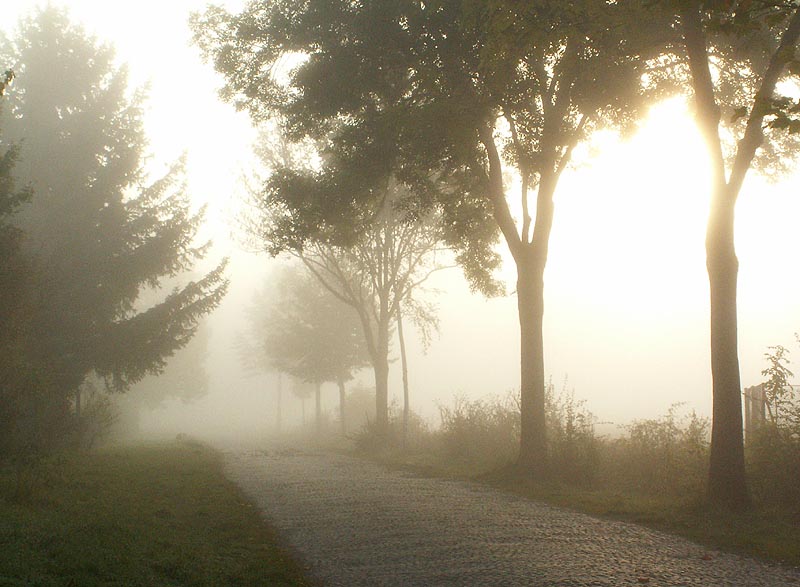 Spaziergang am Morgen