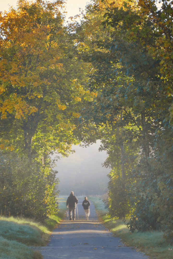 Spaziergang am Morgen