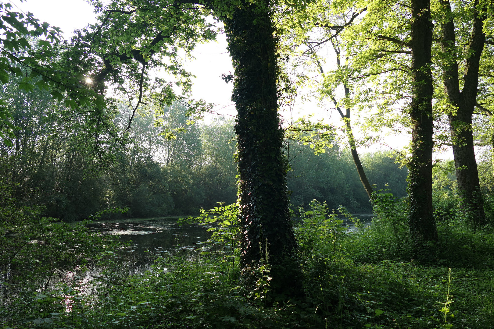 Spaziergang am Morgen