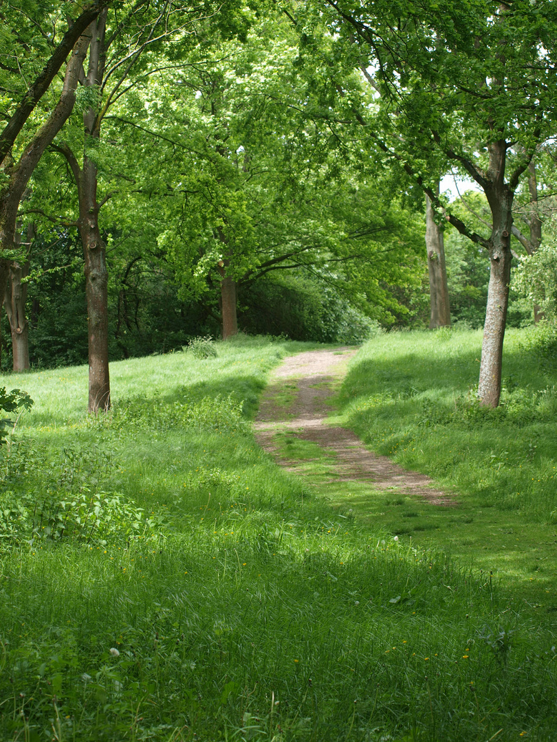 Spaziergang am Muttertag