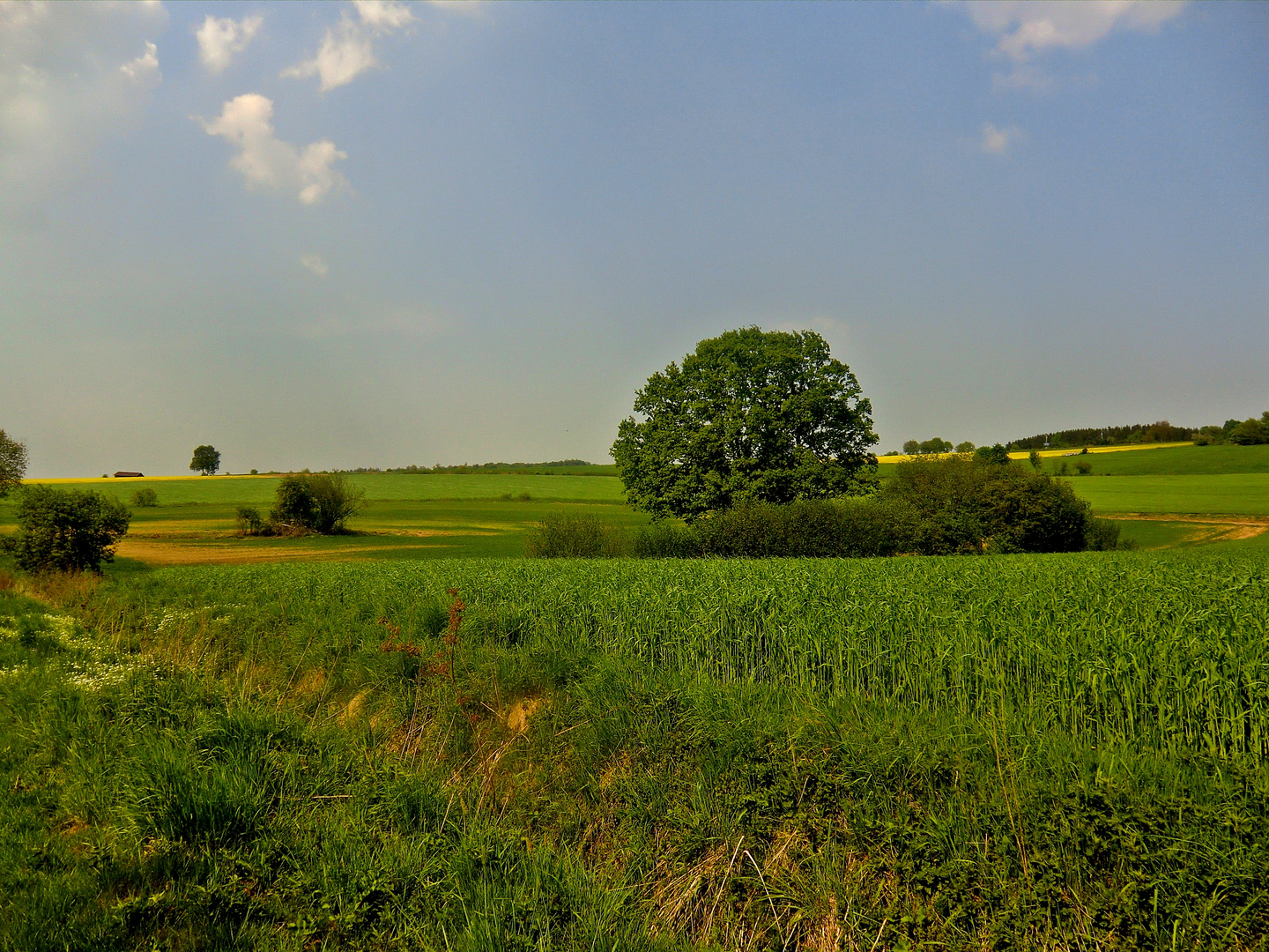 Spaziergang am Nachmittag