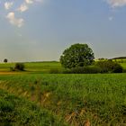 Spaziergang am Nachmittag