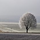 Spaziergang am Neujahrstag