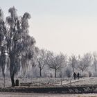 Spaziergang am Neujahrstag