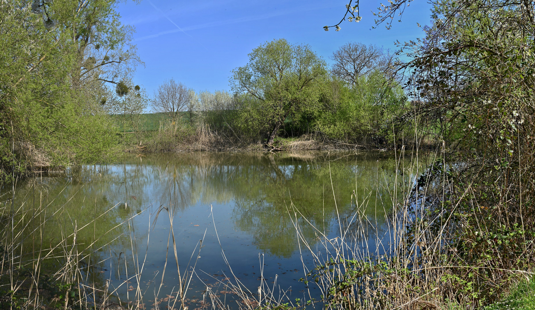 Spaziergang am Ostermontag