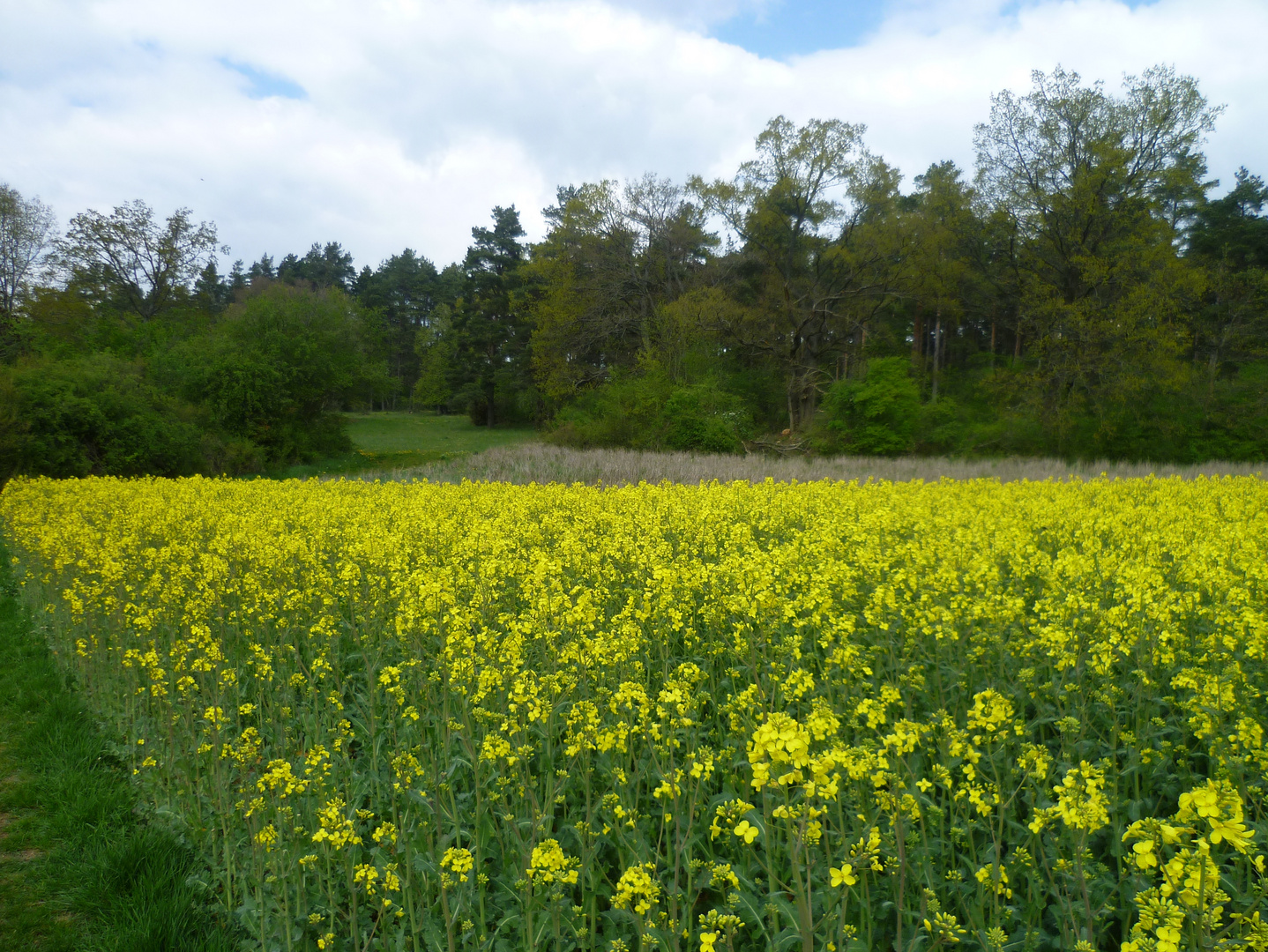 Spaziergang am Ostersonntag