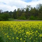 Spaziergang am Ostersonntag